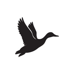Obraz premium Silhouette of a mallard duck in flight, a common wild bird in its natural environment, beautifully rendered as a vector graphic