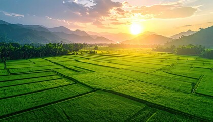 Aerial View of Rice Terraces at Sunset with Mountain Backdrop in Golden Light