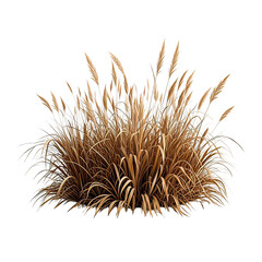 Natural Dried Pampas Grass Bush, Generative AI