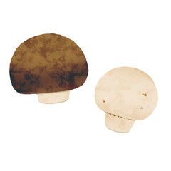 マッシュルーム