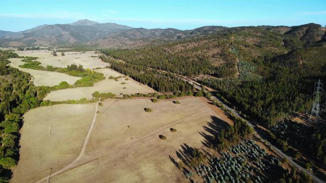 Aerial drone flying over rural landscape and pine forest