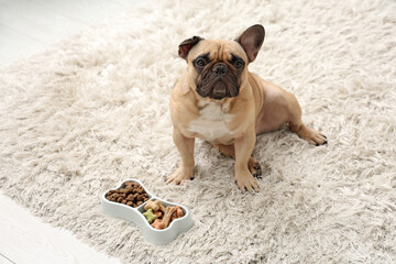 Cute French bulldog and feeding bowl with pet food on carpet at home