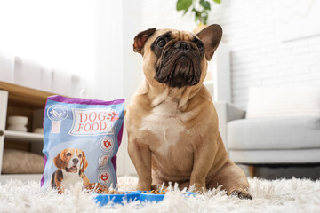 Cute French bulldog and feeding bowl with pet food on carpet at home