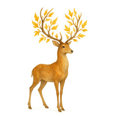 deer vector illustration © betania