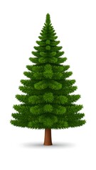 Illustration of a Christmas tree