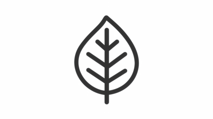 Teardrop leaf outline icon centered on white