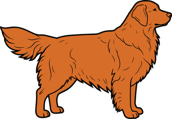 Orange dog illustration, retriever outline vector, domestic pet drawing, cartoon dog artwork, animal design graphic, canine shape art, standing retriever r, 