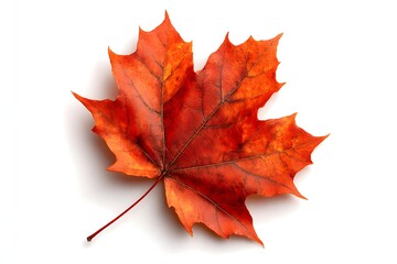 Vibrant Red Maple Leaf Isolated on White Background for Autumn Nature Themes