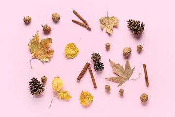 Composition with fallen leaves, cinnamon sticks, pine cones and acorns on pink background