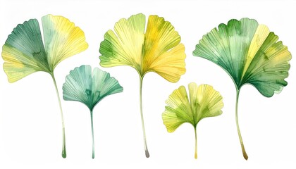 Watercolor painting of fan-shaped leaves in shades of green and yellow
