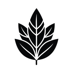 Sage Leaf Cluster Icon Vector Illustration
