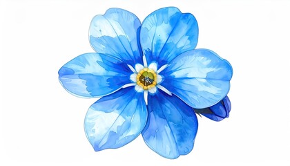 Fototapeta premium Watercolor close-up of a vibrant blue blossom, white background