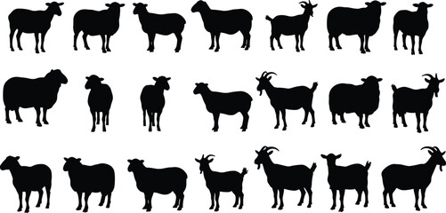 Sheep and goat silhouettes collection, livestock vector illustration, farm animals design, agriculture artwork, rural countryside farming concept, domestic mammal graphics
