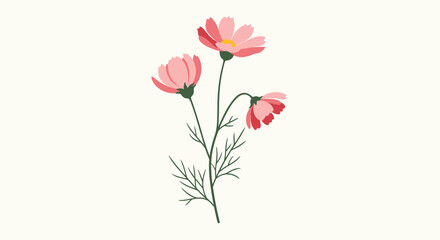 Delicate pink cosmos flowers bloom with slender stems and green leaves.