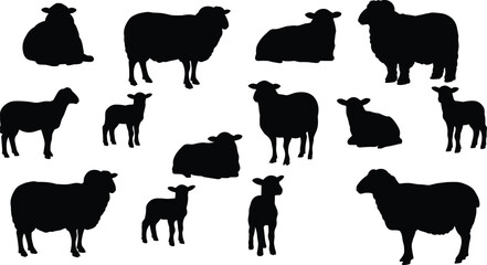 Sheep and lamb silhouettes collection, farm animal vector, livestock illustration, rural agriculture design, domestic wool mammal artwork, countryside farming graphics