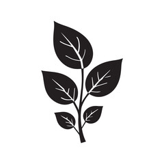 Detailed Botanical Coffee Plant Logo with Realistic Leaf Shapes