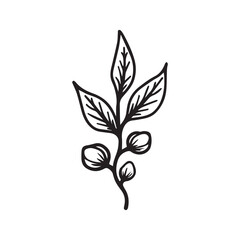 Coffee Plant Logo Emphasizing Coffee Cherries in Bold Silhouette