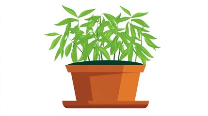 Potted houseplant with green leaves and growth of rosemary is a nature decoration for home