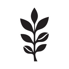 Modern Black Coffee Plant Silhouette with Light Shadow Play