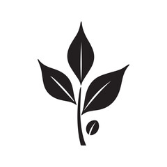 Balanced Coffee Plant Logo Using Perfect Geometric Proportions