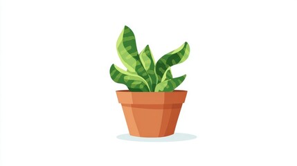 A detailed illustration of a potted snake plant with green and yellow leaves.