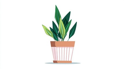 A vibrant green potted plant with long, pointed leaves in a decorative terracotta pot.