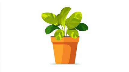Obraz premium A small houseplant with fresh green leaves is growing in an isolated white flowerpot