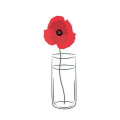 Poppy in Glass Jar. Red Flower on White Background. Summer Flowers. Floral Composition. Vector illustration