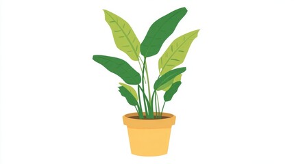 Fototapeta premium Illustration of a potted plant with large green leaves and a yellow pot, isolated on white.
