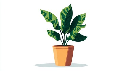 Fototapeta premium A vibrant illustration of a potted houseplant with variegated green leaves on a clean white background.