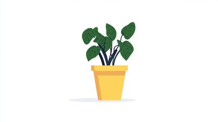 A vibrant green houseplant with large leaves sits in a bright yellow pot against a clean white background.
