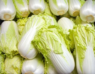 Fresh bok choy heads tightly packed