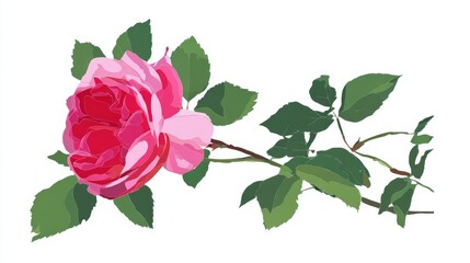 Illustration of a pink rose with green leaves on a branch.