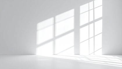 Empty room bathed in natural light, window shadows cast on a clean white wall