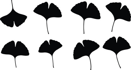 Ginkgo leaf silhouette set, black botanical vector icons, flat nature illustration, autumn foliage clipart, minimalist plant design elements