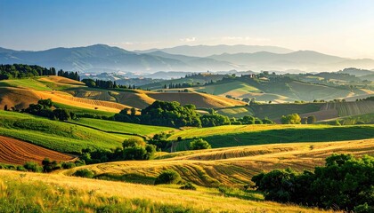 Fototapeta premium Golden Sunrise over Rolling Hills with Golden Light Warm Hues Dramatic Sky Landscape Scenic Vista Rural Tranquility and Lush Greenery in Background