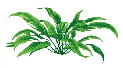Fototapeta premium Fresh green rosemary herb plant branch with leaves isolated on white background