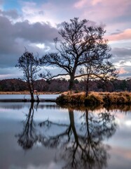 A calm lake scene reflects trees under a colorful, cloudy sky at sunset