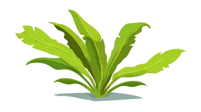 Fototapeta Illustration of a green leafy plant with long, pointed leaves, casting a shadow.