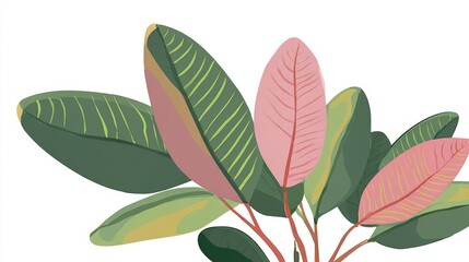 Naklejka premium Vibrant illustration of a tropical plant with large green and pink leaves against a clean white background, showcasing botanical beauty.