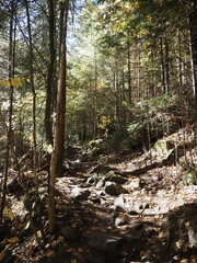 Obraz premium Rocky hiking trail through autumn forest in Sept-Chutes Regional Park