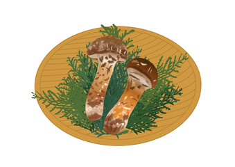 松茸 ヒノキ葉 ざる 秋 イラスト ベクター
