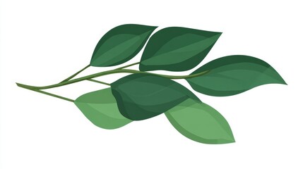 Illustration of a branch with green leaves on a white background.