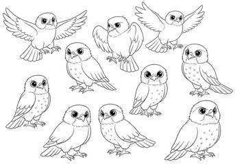 Obraz premium A collection of outlined charming baby falcon characters for coloring pages