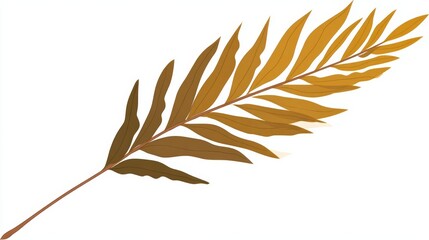 Close-up of a golden-brown leaf with many leaflets on a white background.