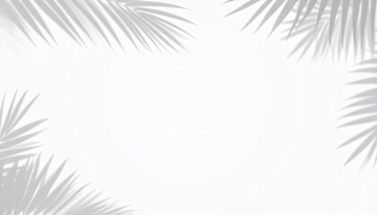 White background framed with palm leaf shadows, creating a simple, clean composition