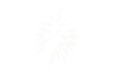 Handmade White Firework Sparkle PNG | Glowing Festival Light Decorative Transparent Overlay