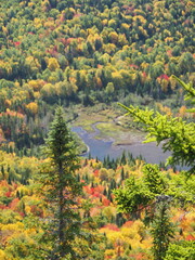 Obraz premium Autumn forest valley with river in Sept-Chutes Regional Park, Quebec