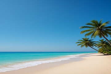 Fototapeta premium palm tree on the beach