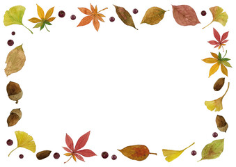 Watercolor Autumn Fall Botanical Frame / Hand-Drawn Ginkgo, Acorns, and Leaves Border Vector Set